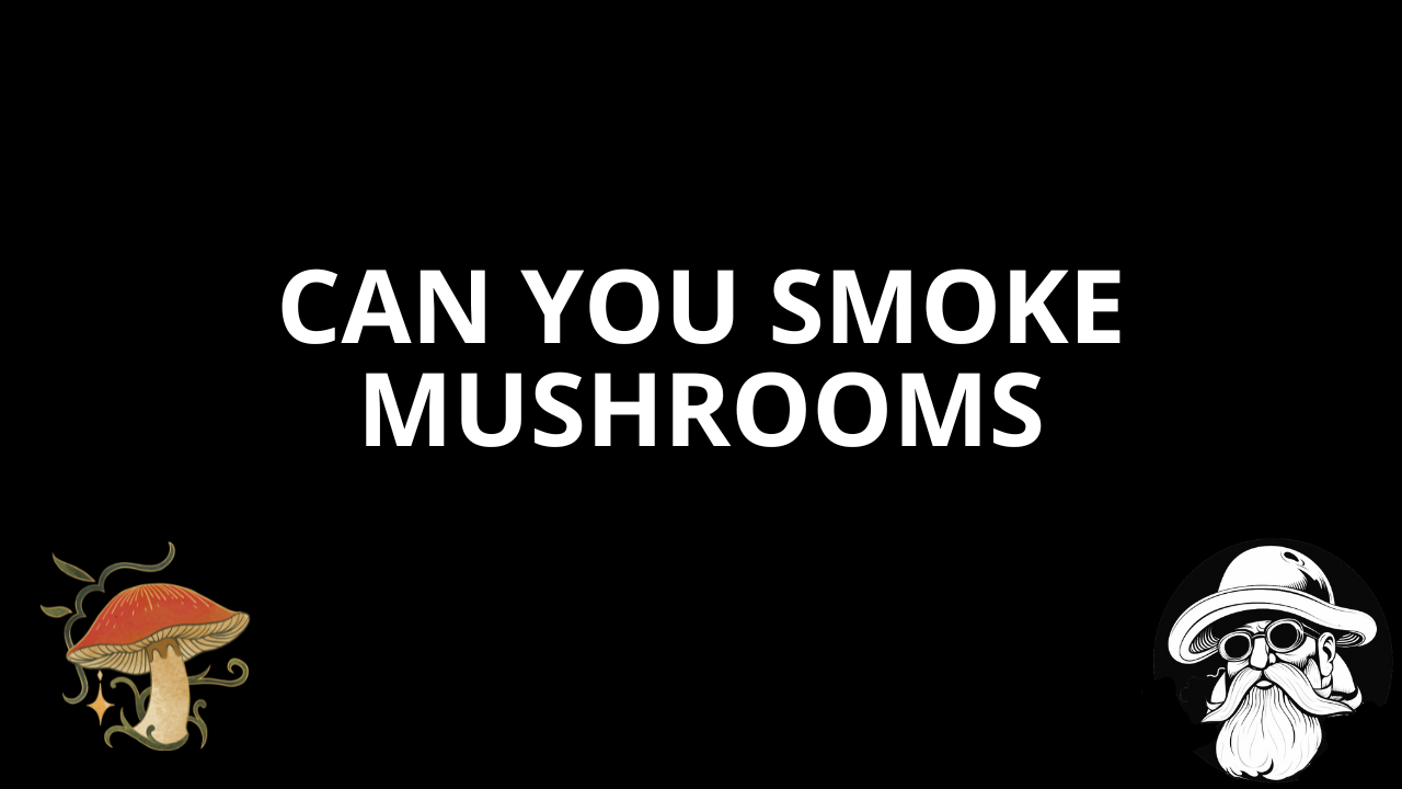 Smoke Magic Mushrooms: Myth vs Reality